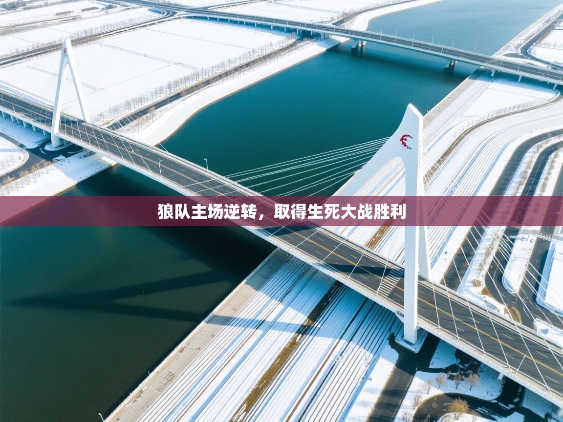 开云赛事直播-狼队主场逆转,取得生死大战胜利 第2张