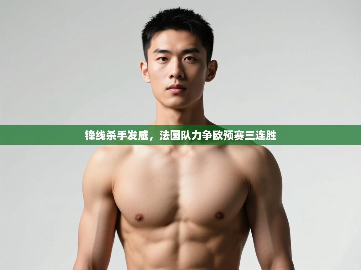 开云体育app官网入口网页版-锋线杀手发威，法国队力争欧预赛三连胜  第1张