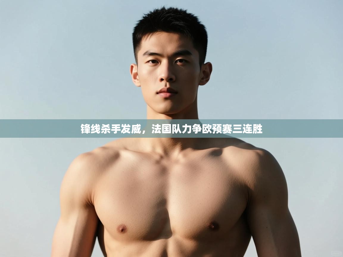 开云体育app官网入口网页版-锋线杀手发威，法国队力争欧预赛三连胜  第2张